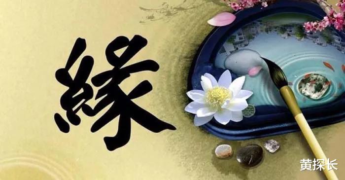 黄探长 在相亲平台遇缘分