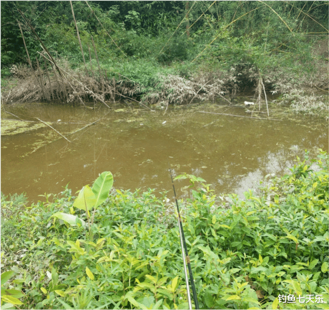 重庆|一天只能钓5斤鱼！重庆垂钓新规出台，钓鱼爱好者要注意了