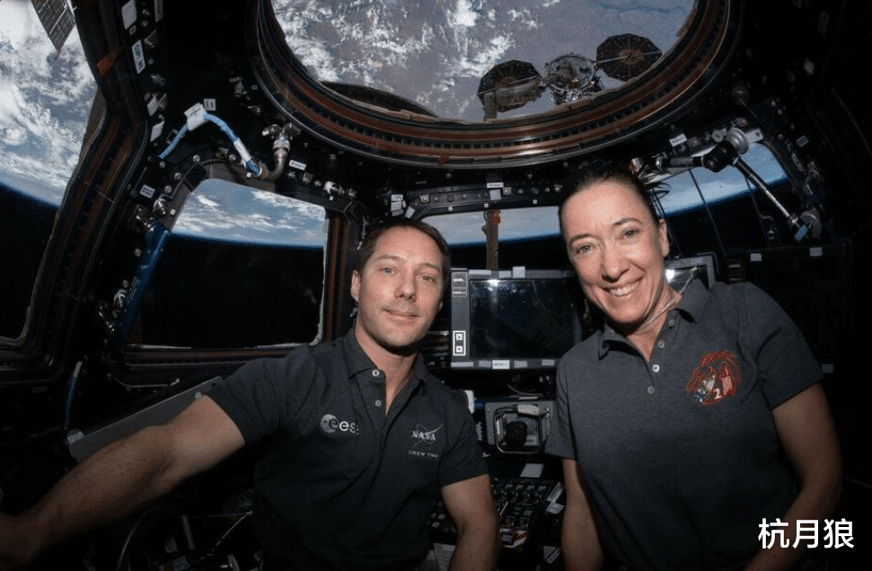 基因疗法 欧空局向国际空间站发射粘菌,并且在宇宙空间和地面同时进行实验