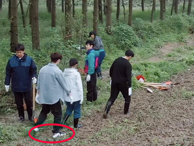 张艺兴|张艺兴下地种树，脚上的鞋子成全场焦点，是不是真干活一目了然