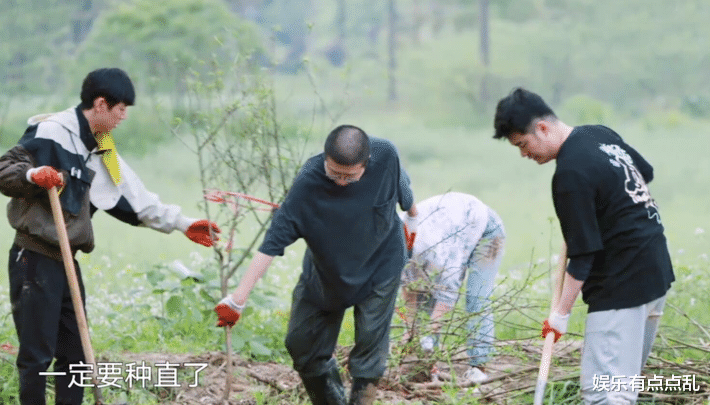 张子枫|李雪琴问张子枫: 上大学有没有拿过奖学金? 张子枫的回答显情商
