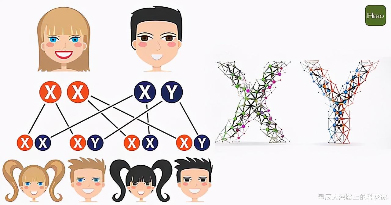 人工授精 看呆医生：一次成功！嫌医院人工授精太贵，英女子硬核DIY操作