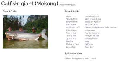 机械|不依靠重型机械，人类徒手钓上最大的鱼有多大？