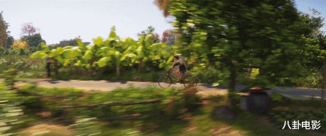 雄狮少年|没想到看个动画片也要带纸巾,《雄狮少年》好看还催泪,后段燃爆