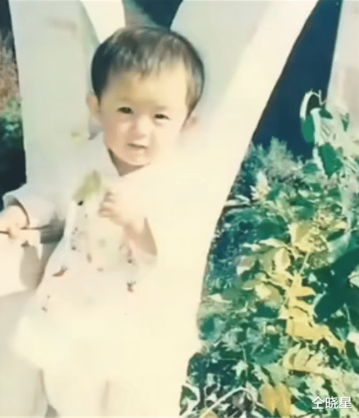 赵丽颖|从饭店服务员到顶流大女主,赵丽颖是如何一路逆袭的?