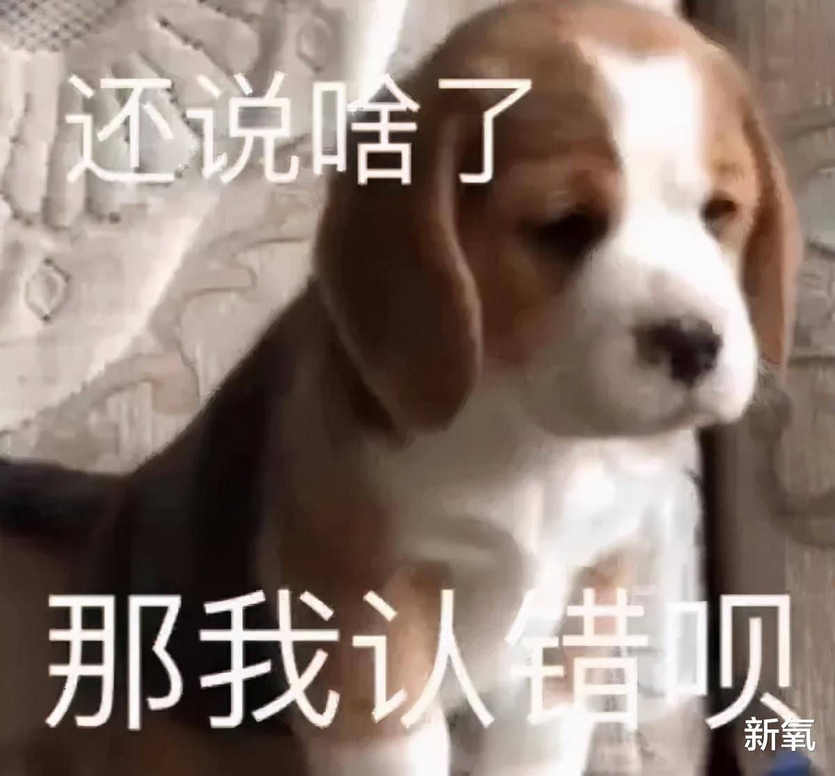 张馨予 深扒月入15w的假减肥药贩子：坑你钱还要身材羞辱你！