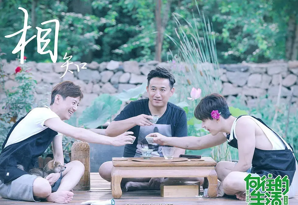 黄磊|再多的顶级流量，也救不了它的烂？