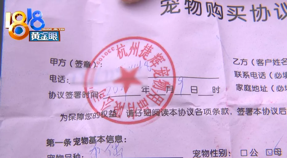 杭州 消费者怀疑买到“星期猫”，找上门发现是“老朋友”了
