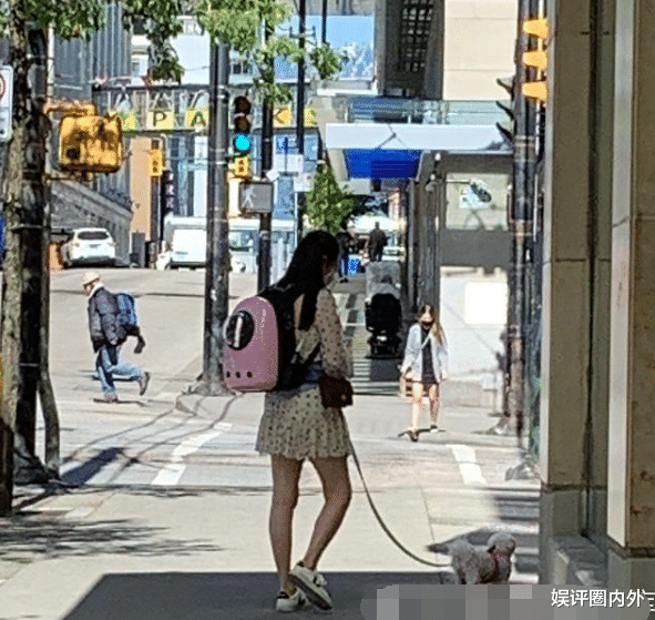 王祖贤|网友温哥华偶遇54岁王祖贤本尊，她独自一人街头遛狗，被赞清新脱俗
