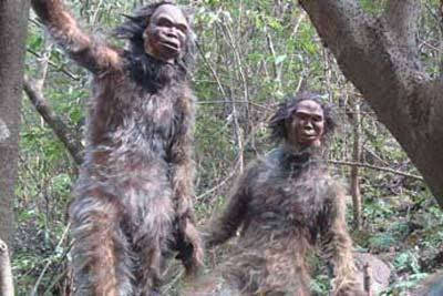 菜菜叶|太白山野人事件：多人亲眼看到野人是否具有真实性?