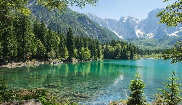 |你觉得钓位很好，其实没有鱼，找到“鱼窝”想空军都难！