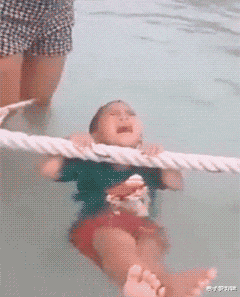 恐龙 已经能预见大家看到恐龙时的表情了，跟天塌下来一样呢