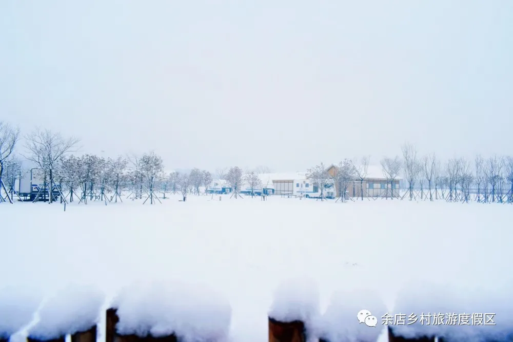 上海市|河南旅游丨 在大雪中遇见小寒