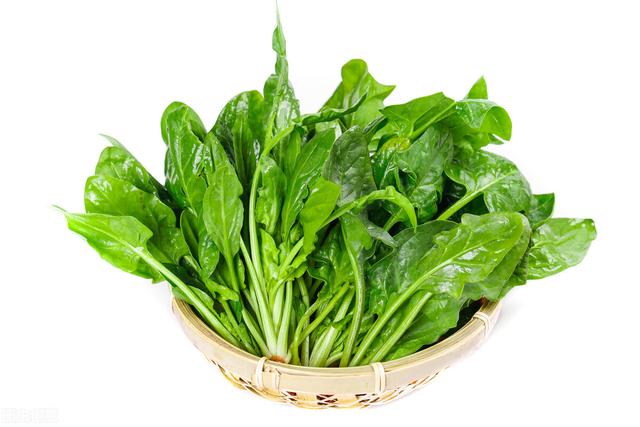 高血压|高血压的人，2样降压蔬菜，坚持每天吃一点，血压稳定，血管健康