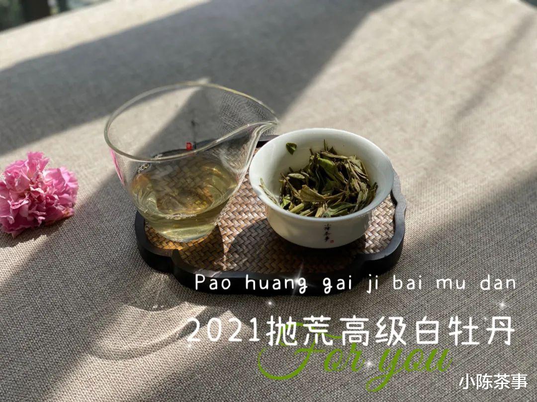 更年期|白茶、岩茶、红茶、绿茶、普洱茶,六大茶类里谁更适合存成老茶?