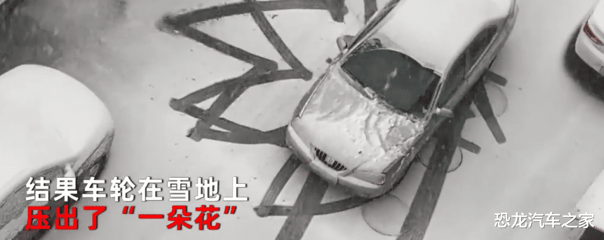男子雪地掉头,车下惊现一幕,网友:真是掉头也不忘展示市花的魅力