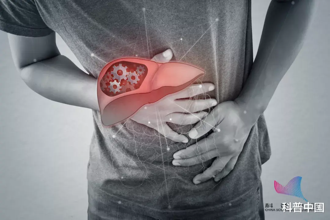 脂肪肝|脂肪肝可逆转，也可能癌变！如果出现这些症状，当心肝脏已经受损