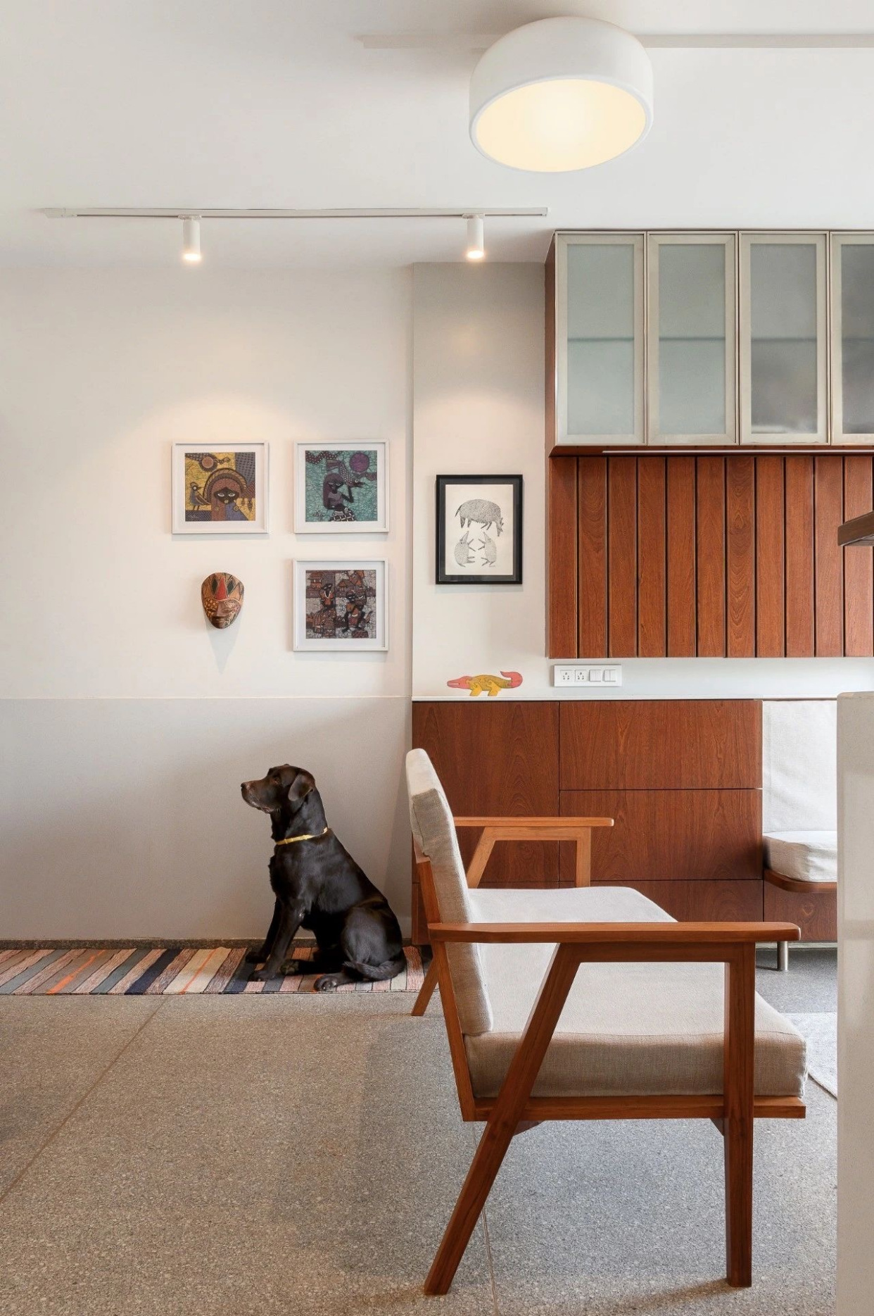 铲屎官|给“铲屎官”们的9条家居装修建议！