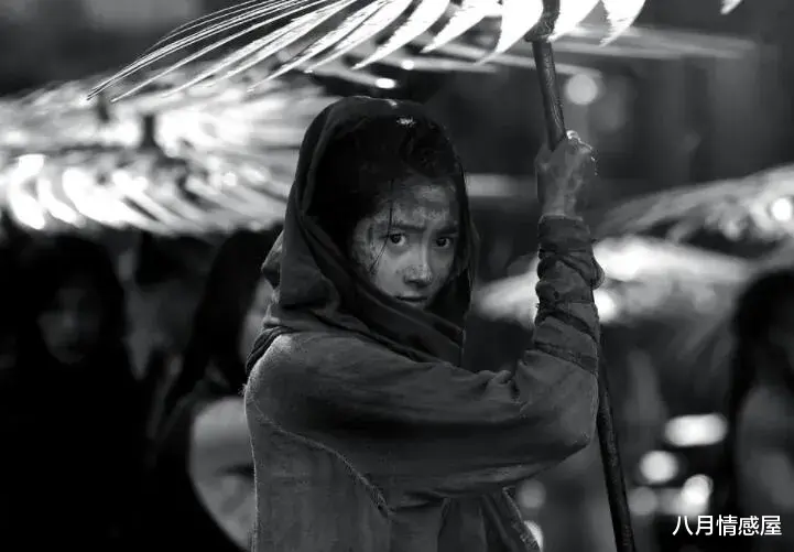 肖战|关晓彤：鹿晗真的出轨了