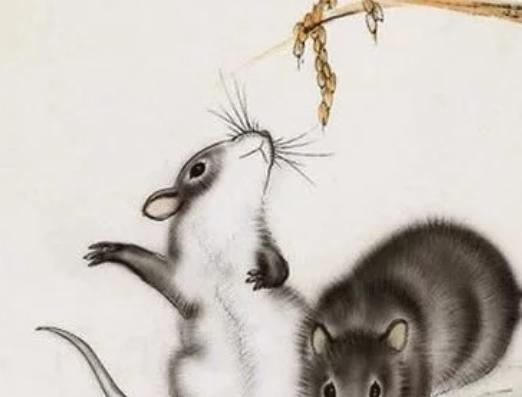 教师|牛年不再走霉运的四个生肖, 不是升职就是生财, 幸运榜上会有谁?