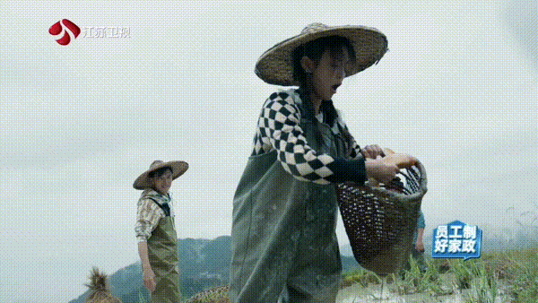 徐骁|杨超越有一点特别好：草根出身，抓鸡、摸鱼，从来就不矫情