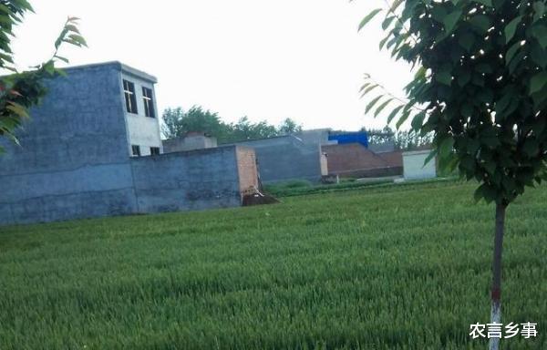 违章建筑|在农村，哪些类型的自建房属于违建？会不会拆除？解答来了