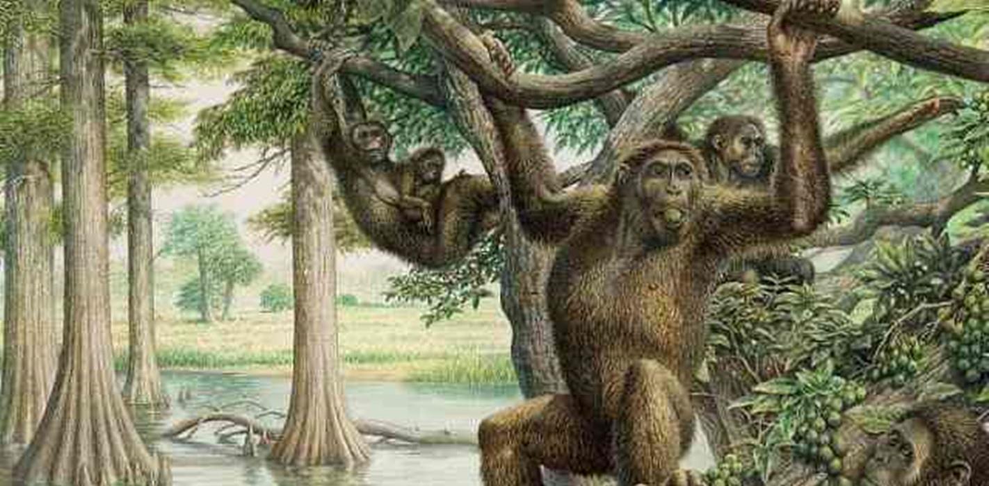 中国发现新人种“龙人”，会是中国人祖先吗？人类起源或被改写？