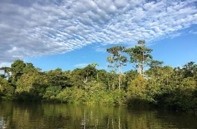 赵立坚 亚马逊丛林对地球有多重要？如果亚马逊丛林消失了后果会怎样？