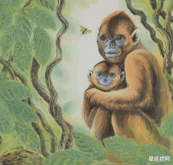 星座控网|属猴人和啥生肖结婚，真正找对了人，有缘有分，来日同享富裕