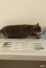  “合租女室友天天不关门是几个意思！”网友：你说啥意思就是啥意思！