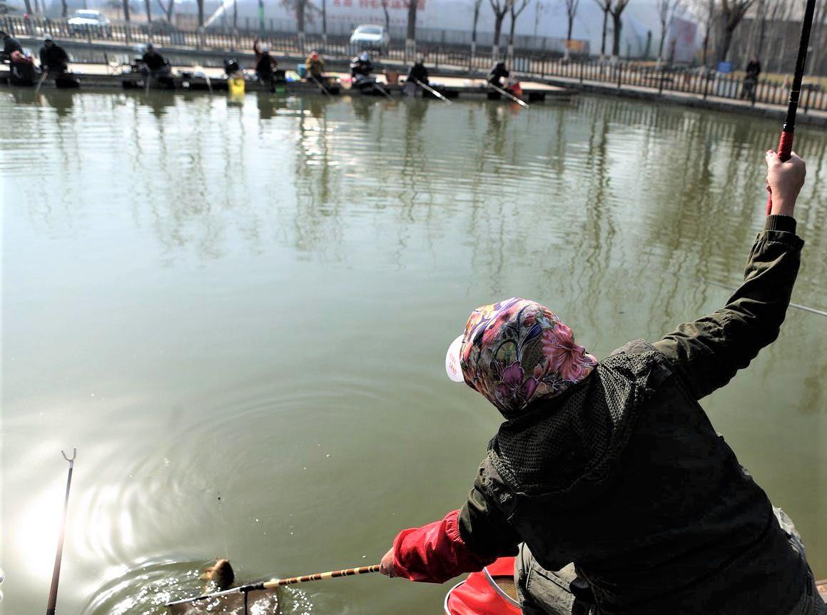 饵料|冬季野钓是钓灵还是钓钝？钓鱼时，饵料是触底好还是躺底好？