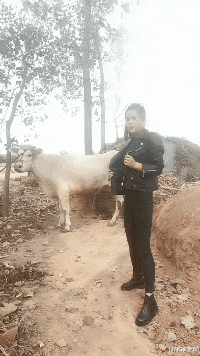 大家上卫生间时是喜欢蹲便器还是马桶呢？