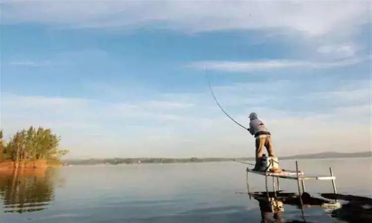 饵料|怎么获得免费渔品?学会薅羊毛,钓鱼不花钱,饵料用一包扔一包