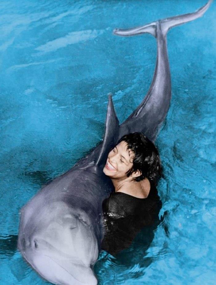 海豚 自杀殉情？公海豚爱上23岁人类姑娘，被迫分开后，将自己淹死