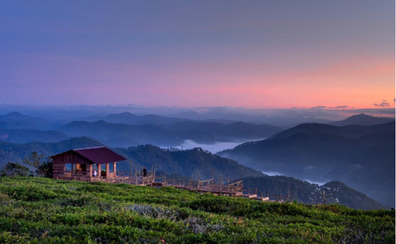 星座叶大仙 眼光毒辣,高瞻远瞩的星座,擅长于谋略,不拘泥于规矩,无拘无束