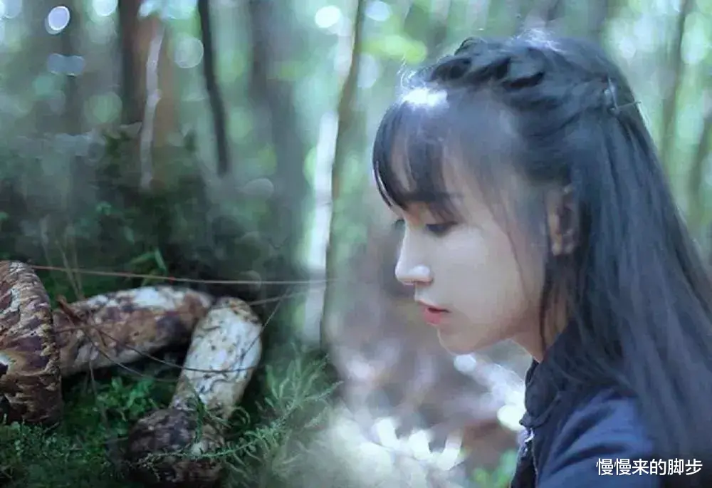 李子柒|李子柒破吉尼斯纪录：她，不是没有欲望……