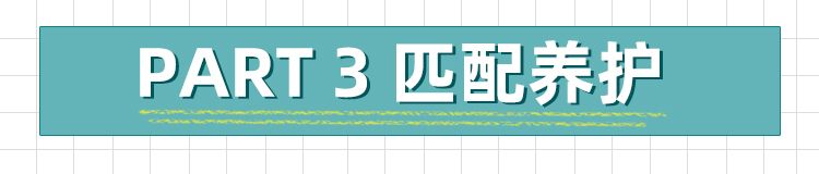 MINI迷你绿植控必备的桌面植物