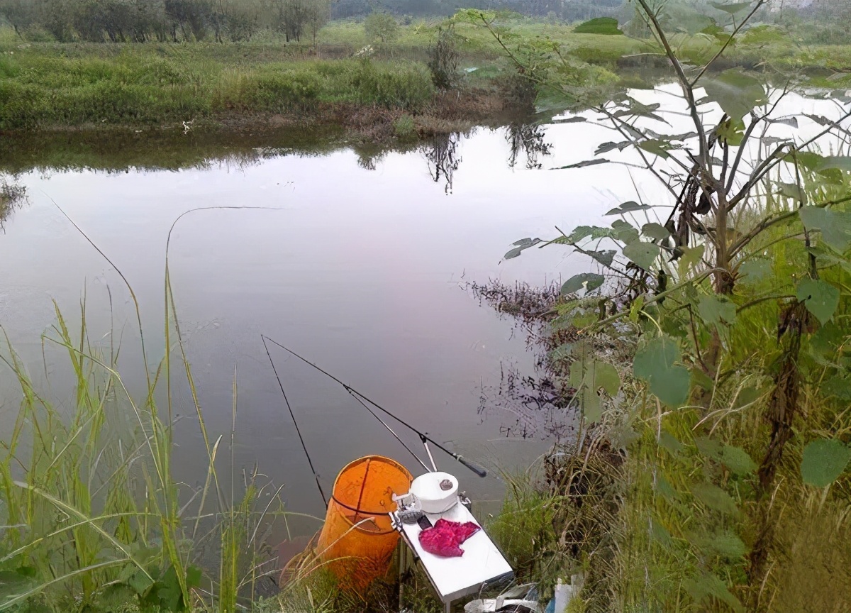 |掌握这几个手竿的抛竿技巧，指哪打哪，如若等闲