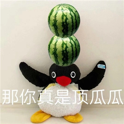 桉月|表情包：呆萌小企鹅文字聊天可爱的表情, 我知道错了