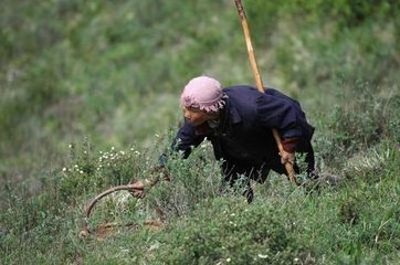 金凤说趣闻|男子山里救回一个女子,女子夜里往小树林跑,男子跟去,瘫在地上