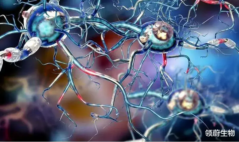 多发性硬化症|在研干细胞新药完成首例多发性硬化症患者用药，欲知临床疗效看这