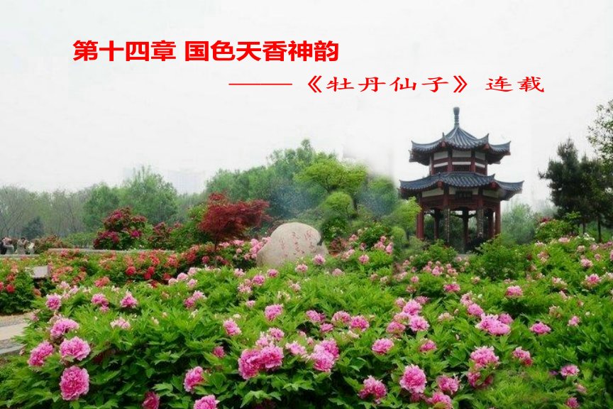 巴黎邮报 第十四章 国色天香神韵——《牡丹仙子》连载