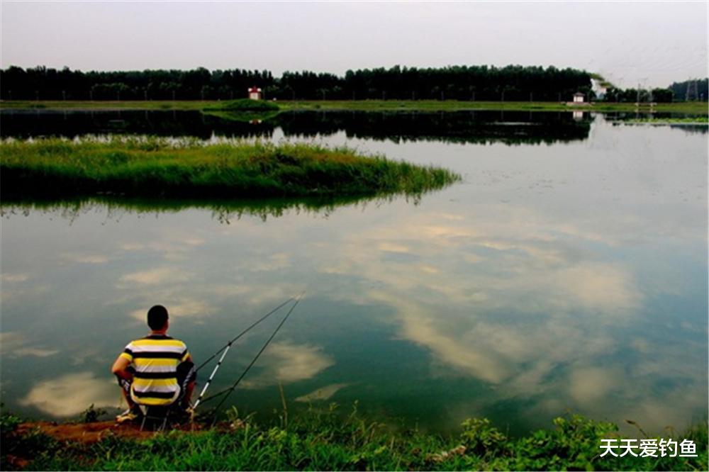 |盛夏钓鱼，套路上有6钓