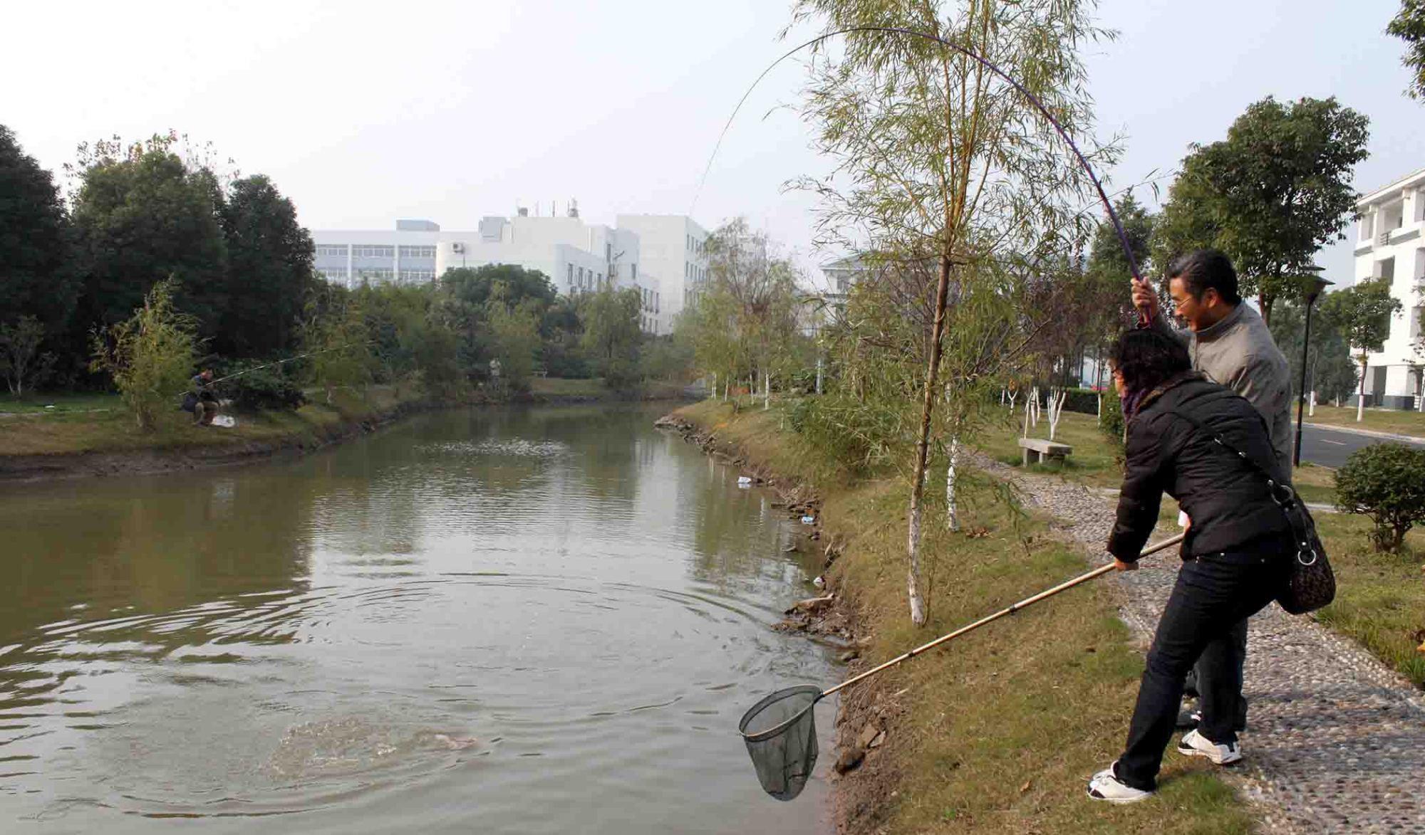 饵料|野钓时用什么气味的鱼饵效果最好？野钓效果最好的钓鱼小药盘点