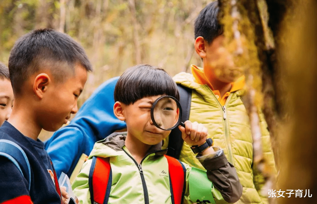 张女子育儿|暑假给孩子看什么书好呢？如果只能选一套，我毫不犹豫给孩子选它