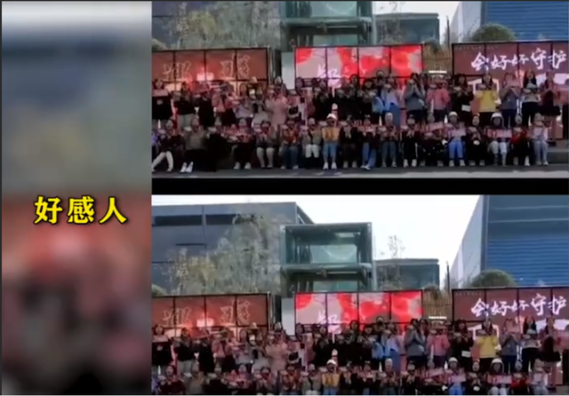 郑爽|张恒勒索女明星郑爽，郑爽反抗、粉丝声援！张恒美梦破灭