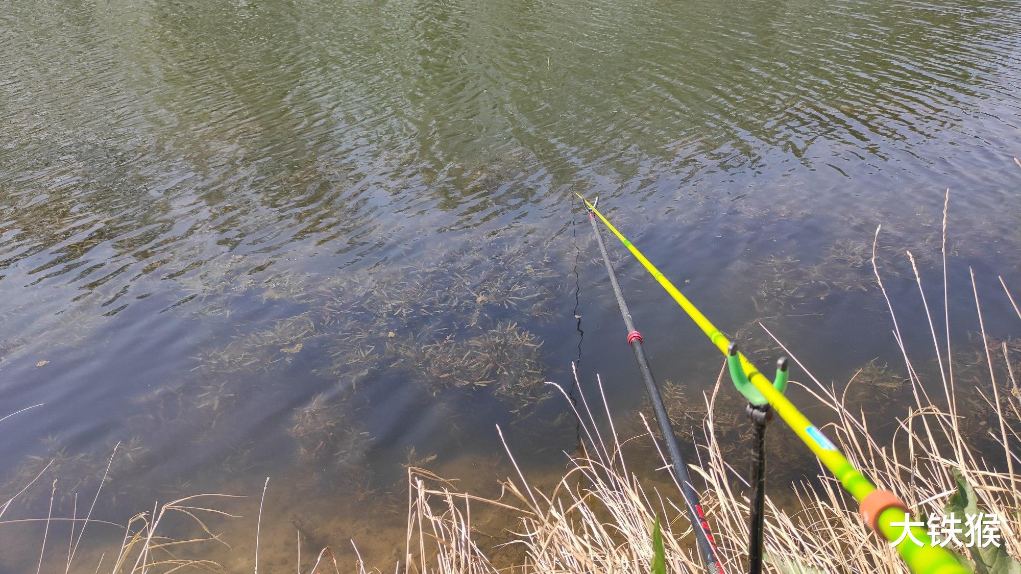 长江|涉案1000多万！跨四省特大电鱼案引热议，是人性的贪婪还是无知