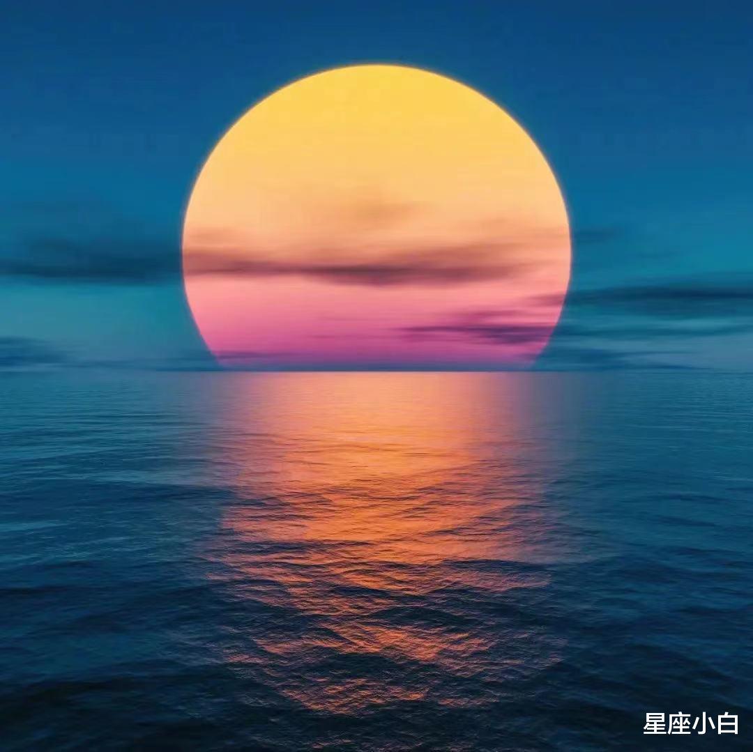 星座小白|好奇心强,喜欢追求新鲜事物的星座