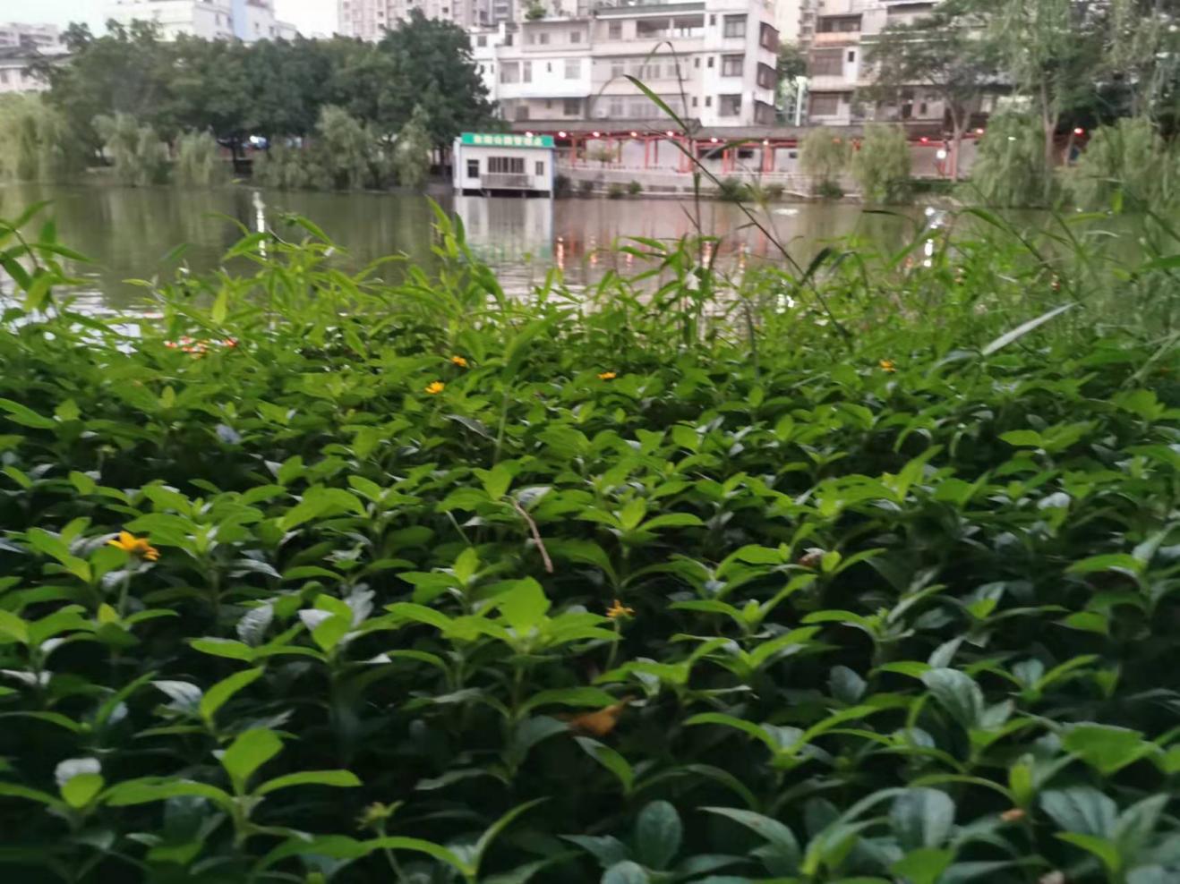 小道玄 特别有思想，想法很深邃，让人崇拜的星座