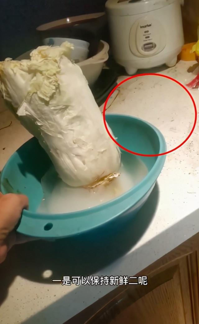 凤凰传奇|“放羊歌手”阿宝的堕落史，被戳穿身份后，如今落魄成了这个样子